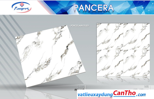 Pancera PP 6612